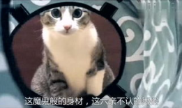 吃奶头视频,揭秘育儿过程中的温馨瞬间