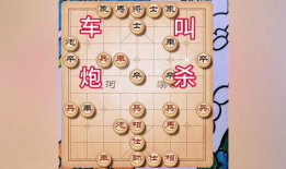 下象棋视频,下象棋视频精彩回顾